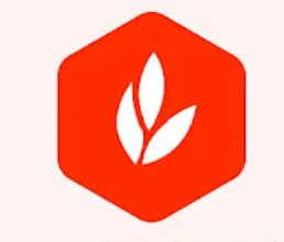 USDT充值代充稻壳儿WPS会员充值